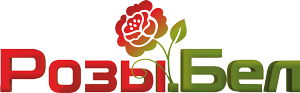 Розы.бел