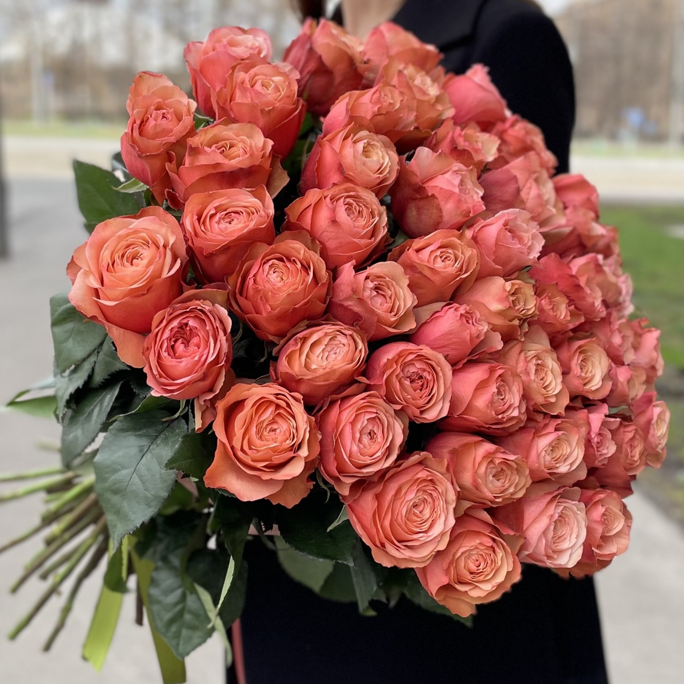 Картинка Роза Кахала