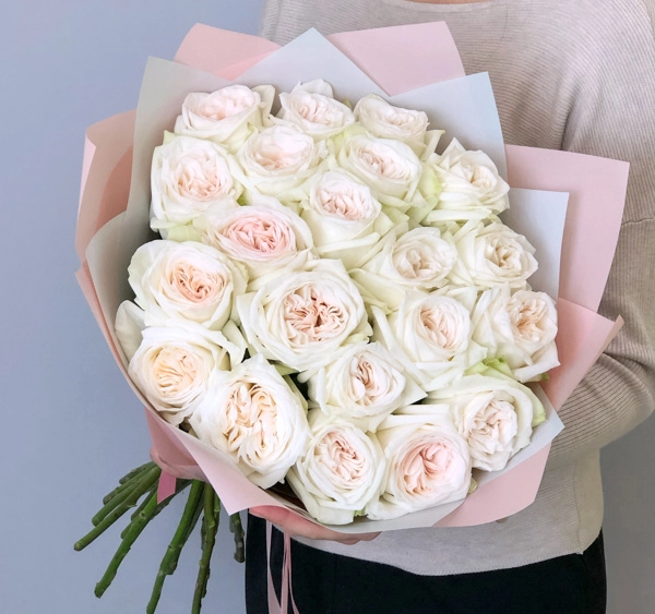 Картинка Роза Вайт Охара