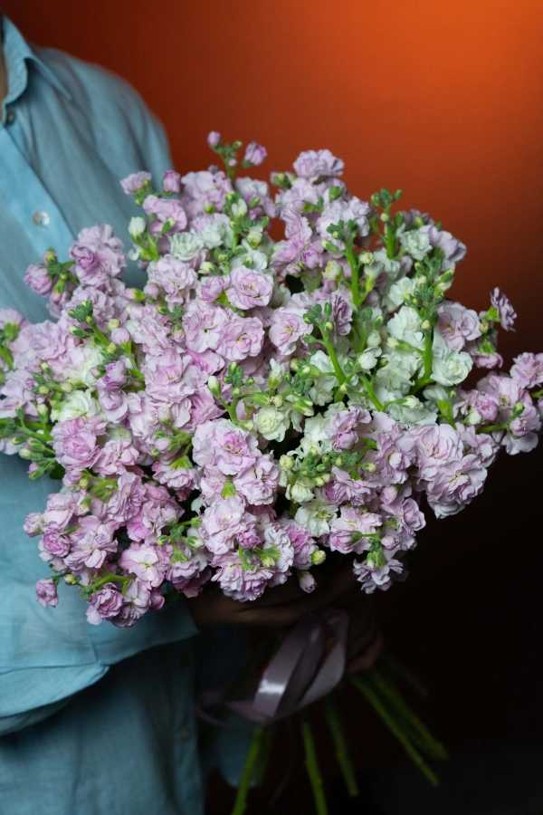 Картинка Букет из 15 маттиол " Май"