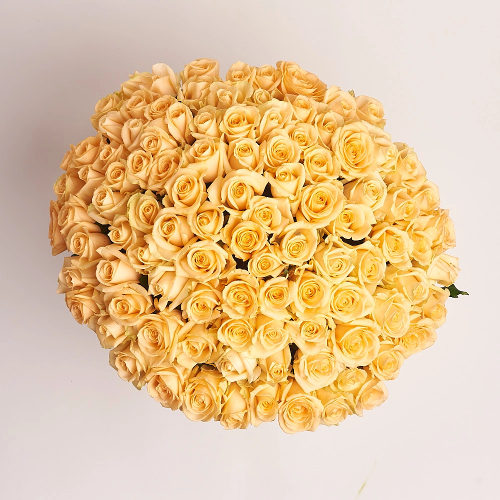 Картинка Букет из 101 розы сорта  Пич Аваланж 50 см