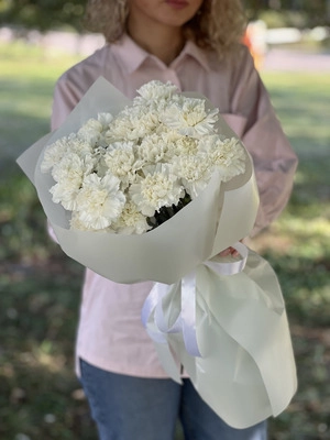 Картинка Букет из 23 гвоздик "Соната"