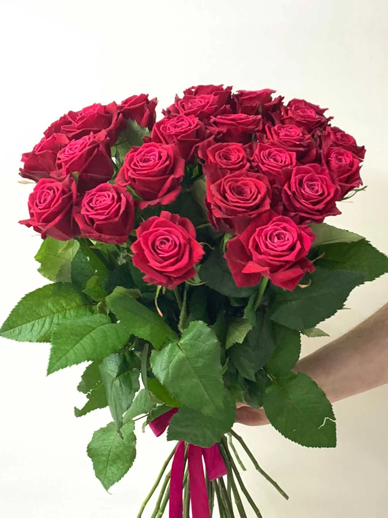 Картинка Роза Шангрила