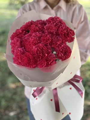 Картинка Букет из 25 гвоздик "Малина"