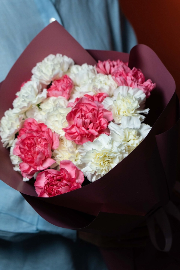 Картинка Букет из 25 гвоздик "Венера"