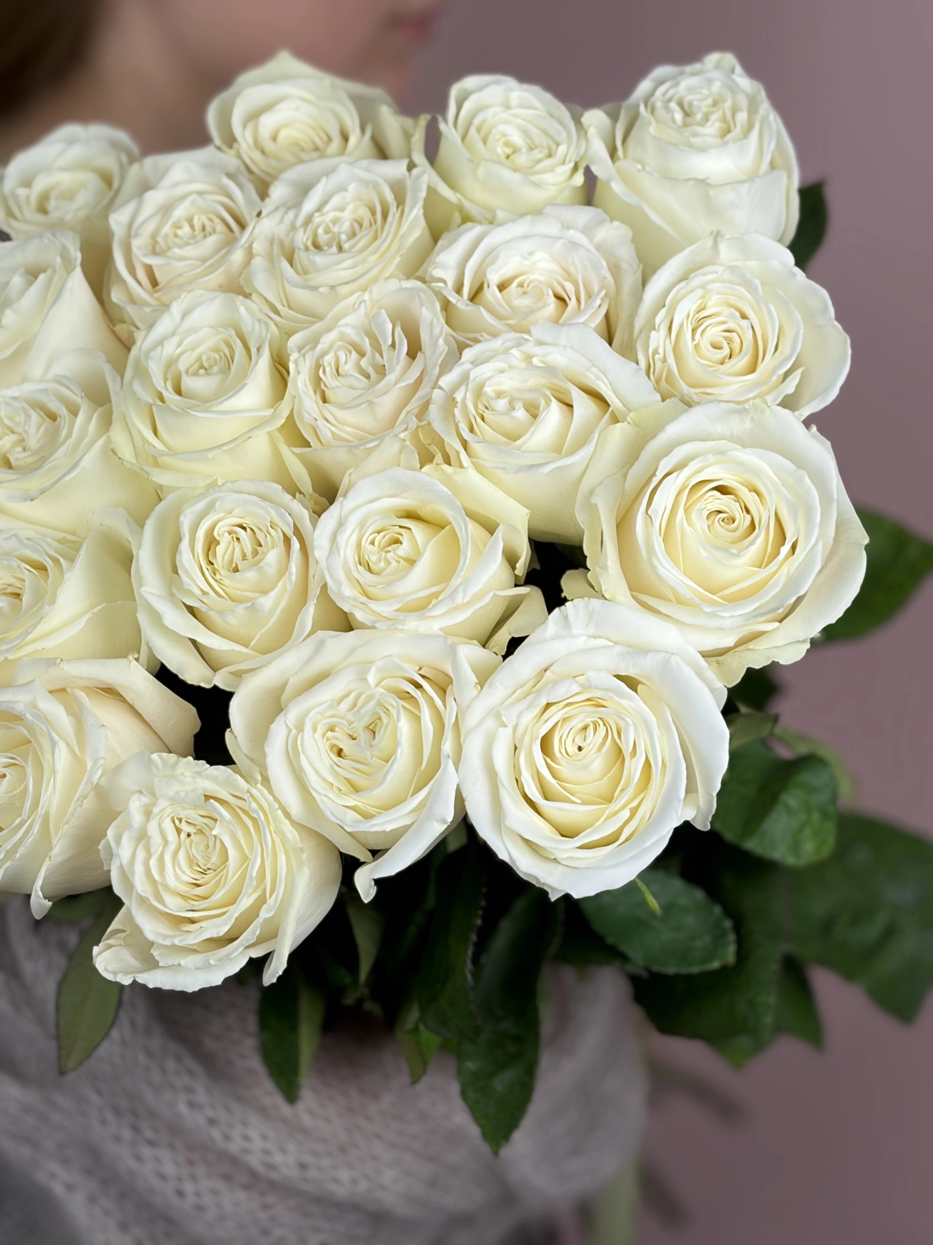 Картинка Букет из 25 роз сорта Плайя Бланка 60см