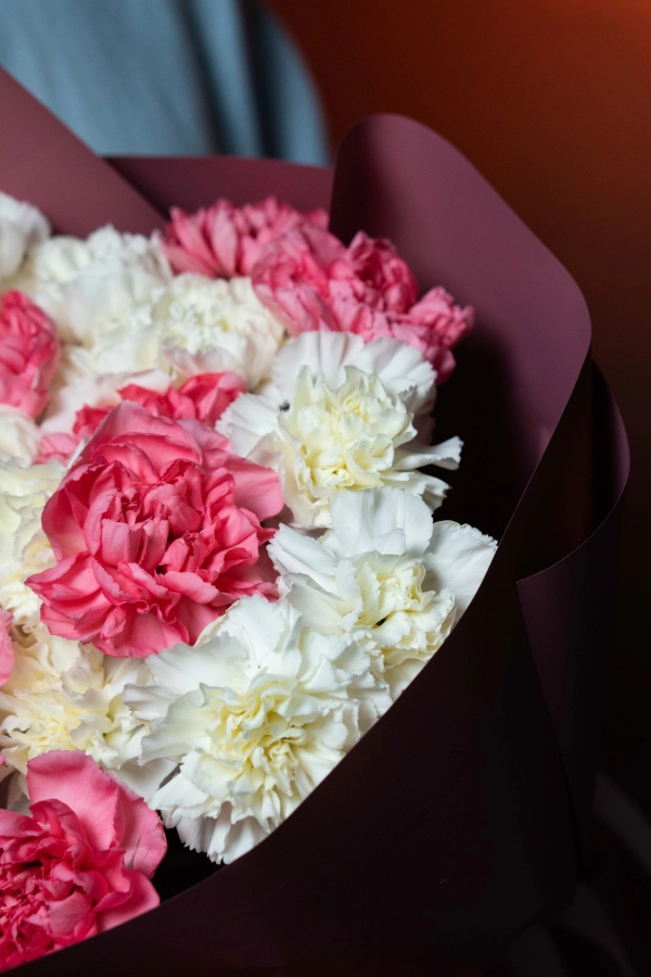 Картинка Букет из 25 гвоздик "Венера"