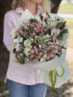 Картинка Букет из 23 альстромерий "Лазурь"