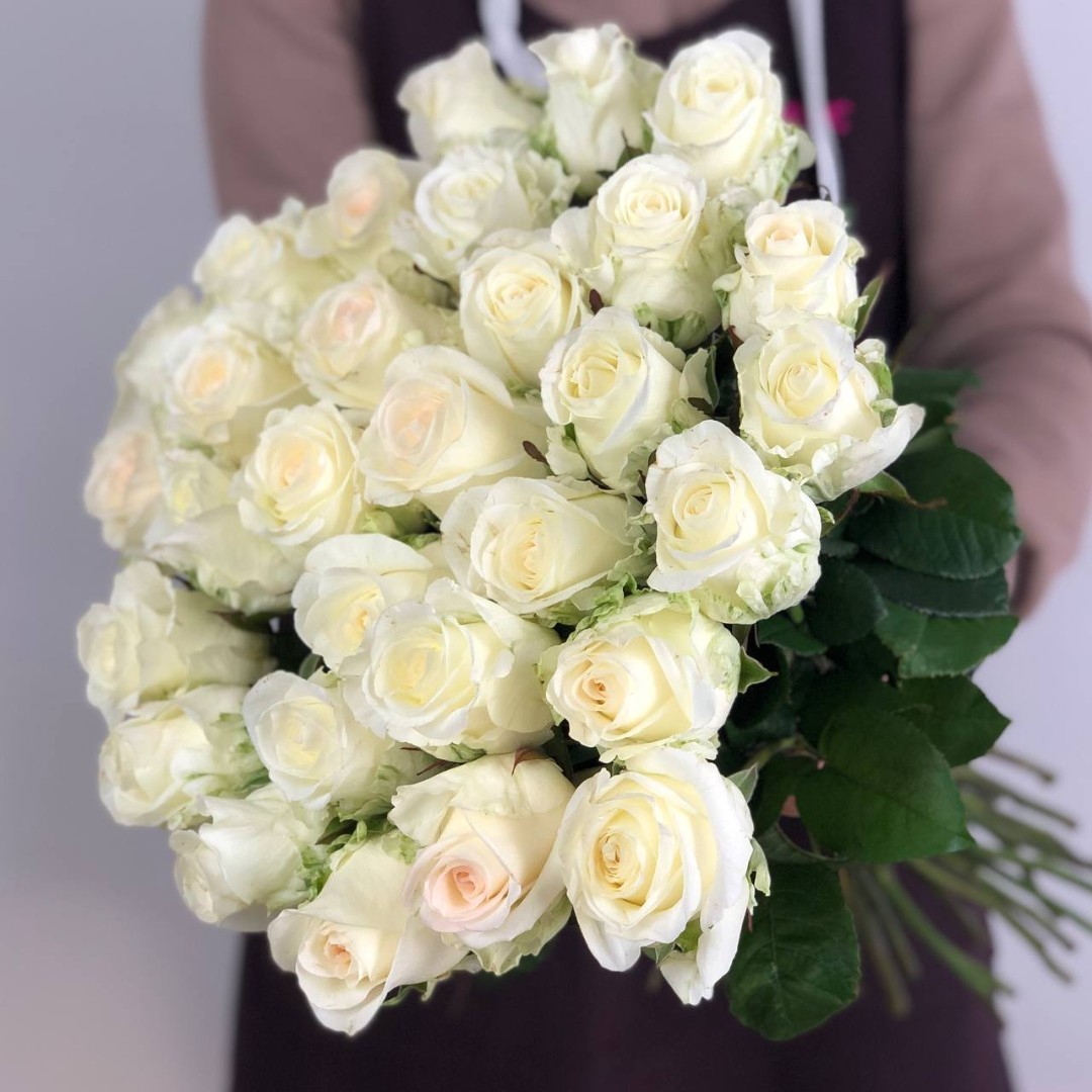 Картинка Роза Ивана