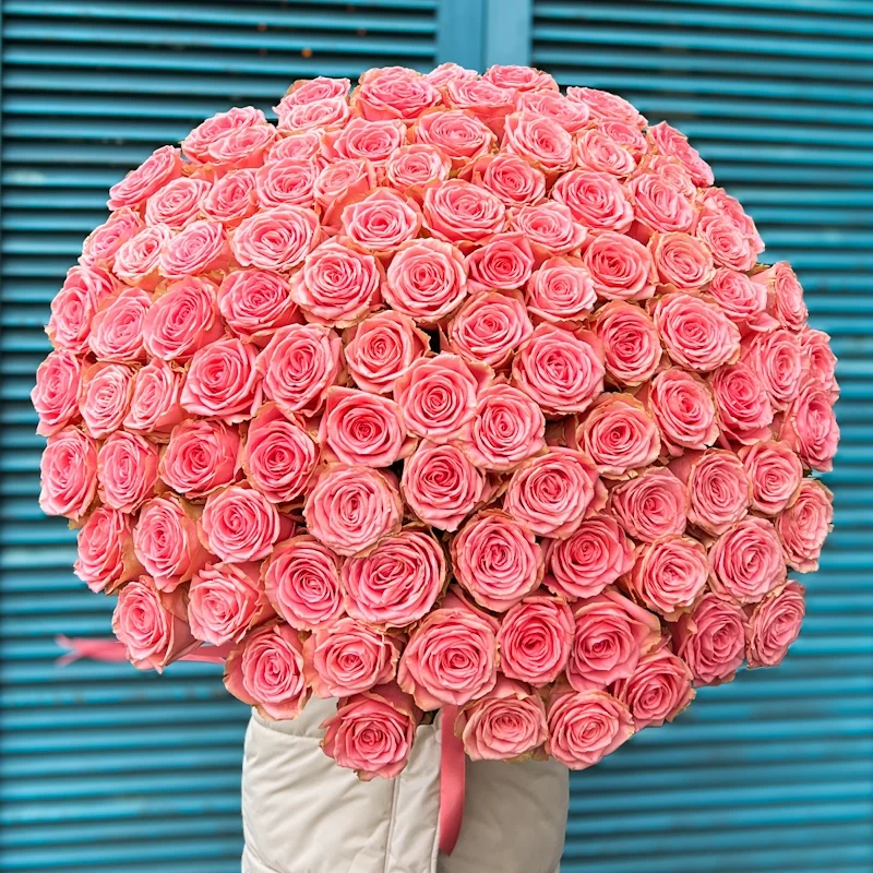 Картинка Букет из 101 розы "Влюблённый" 50 см