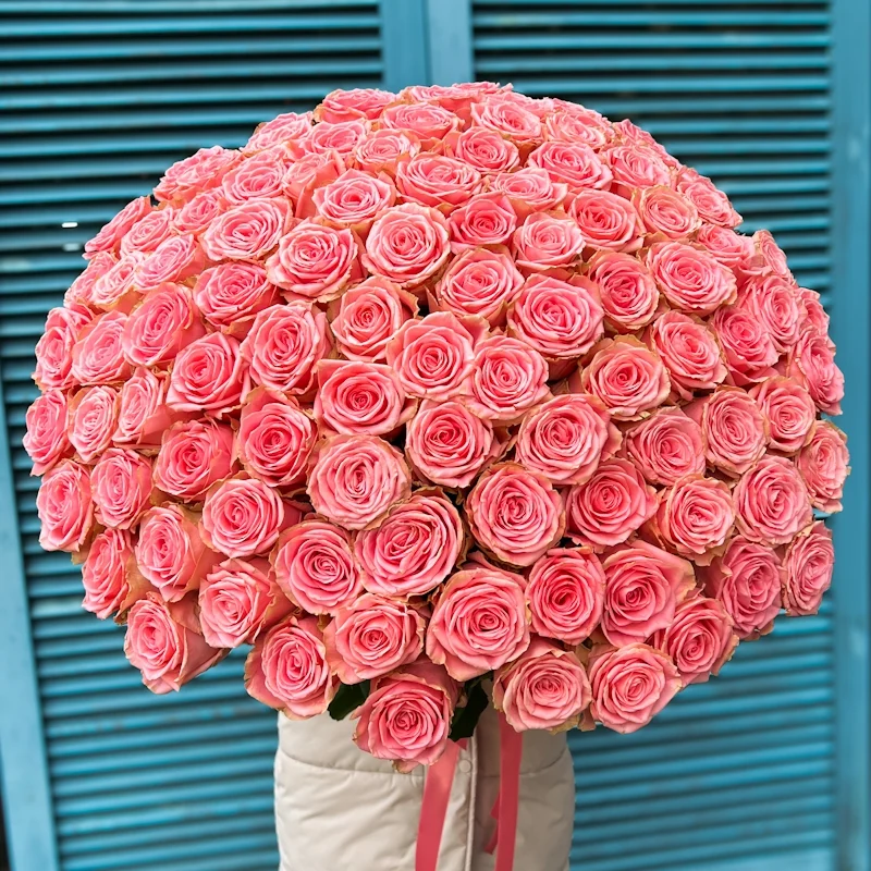 Картинка Букет из 101 розы "Влюблённый" 50 см