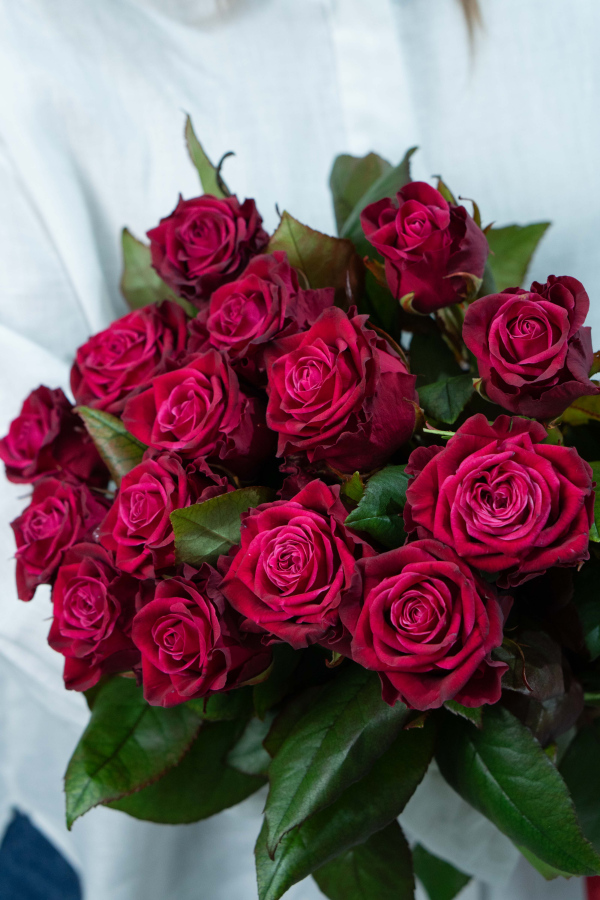 Картинка Букет из 15 роз сорта Адмирал 50 см